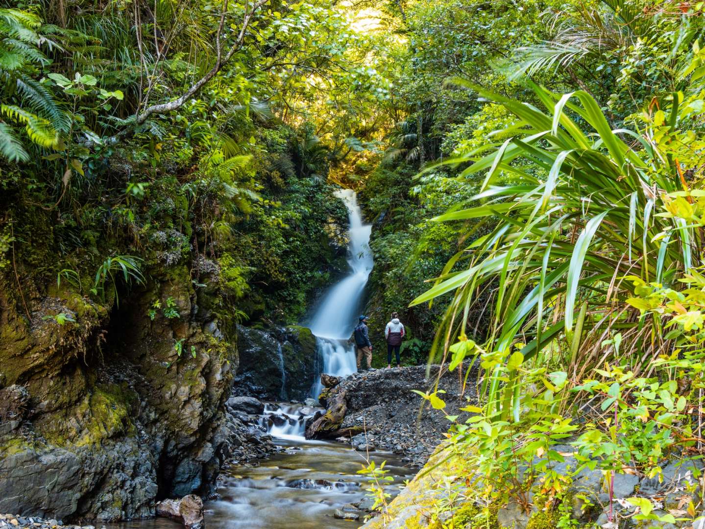 Motu River waterfall